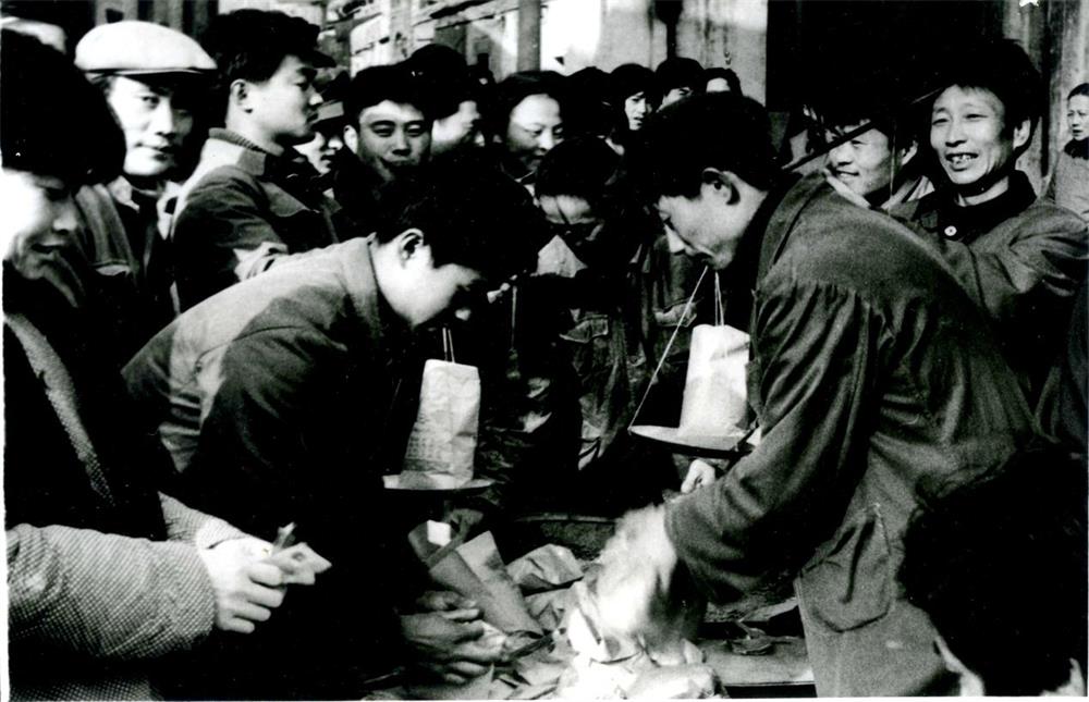 圖片5 圖片5